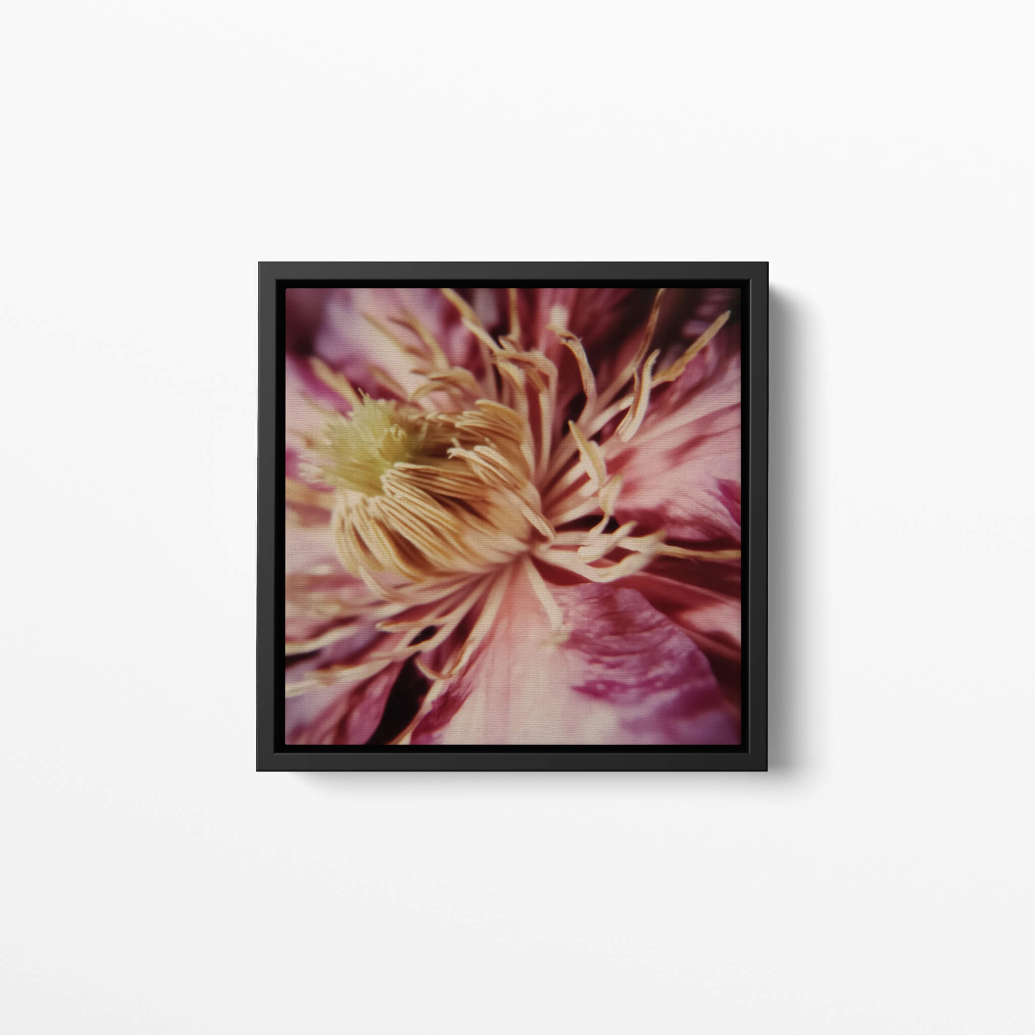 Fine art canvas giclée print of a pink flower in a black frame on a white background