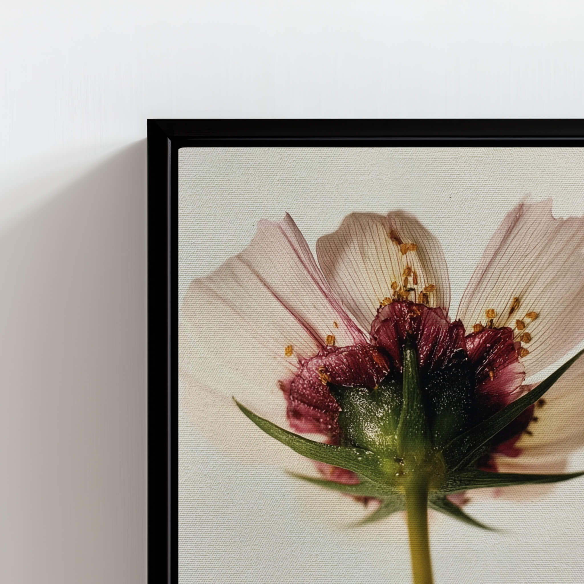Framed close-up of a pink flower with a black frame on a light background